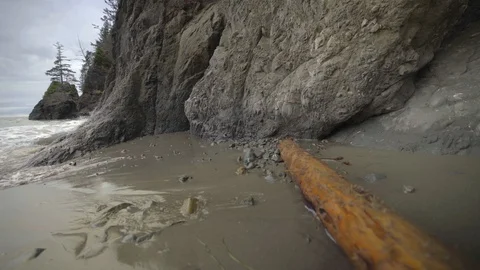 Small beach with large rock and log Stock Footage 87440572
