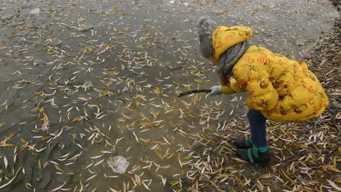 Small beautiful girl in jacket breaks ice with stick in old city labor. Stock Footage 212971216