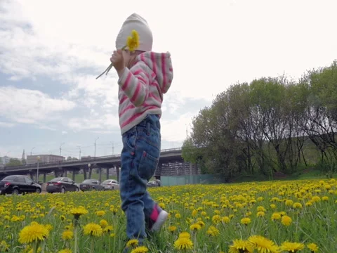 A small, beautiful girl runs around the city park. A child enjoys dandelions in Stock Footage