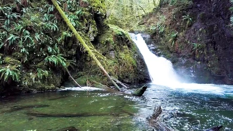 Small but Beautiful Goldstream Park Upper Falls 1. 스톡 동영상 88162450