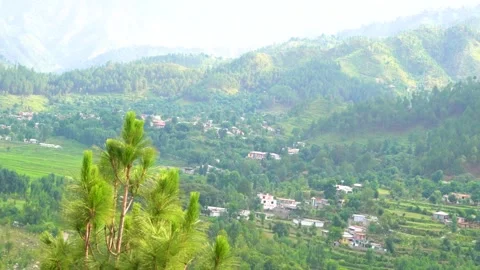 Small, beautiful mountain river in the green forest (aerial) (5) Stock Footage 284443748