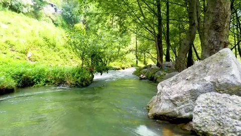 Small, beautiful mountain river in the green forest (aerial) Stock Footage 284443806
