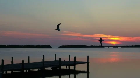 Small beautiful pier in the Keys of Florida at sunset 動画素材 63091195
