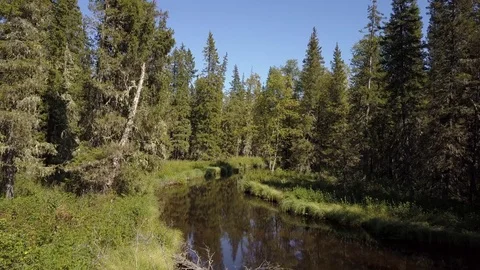 A small beautiful river in the taiga and the distant view aerial Stock Footage 80688954