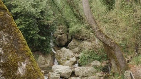 Small beautiful stream Stock Footage 262460655