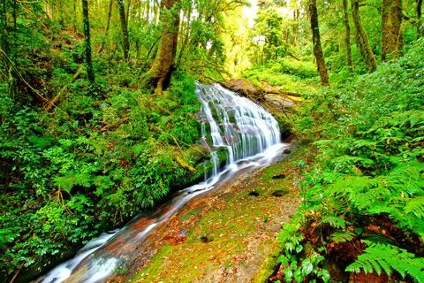 Small beautiful waterfall in deep forest at Kew Mae Pan nature trail Stock Photos