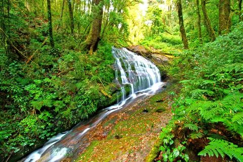 Small beautiful waterfall in deep forest at Kew Mae Pan nature trail. Stock Photos