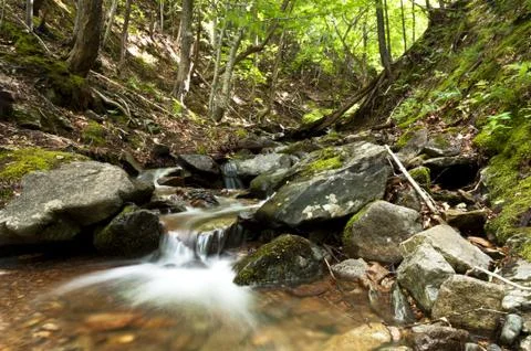 Small beautiful waterfall in a forest Stock Photos