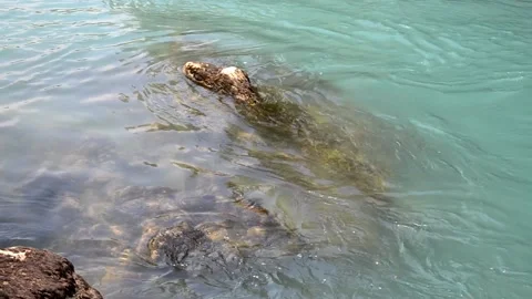 Small beautiful waterfall inside forest in the park Stock Footage 133342257