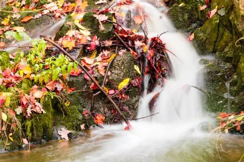 Small beautiful waterfall on a tiny creek Stock Photos