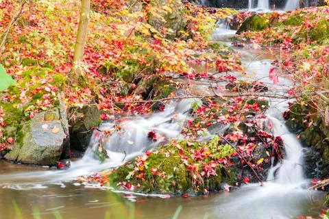 Small beautiful waterfall on a tiny creek Stock Photos
