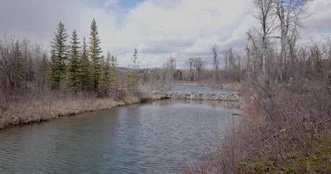 Small Beaver Dam Structure, Windy Oxbow of Griffith Woods Park, Medium Wide Shot Video stock 306906722