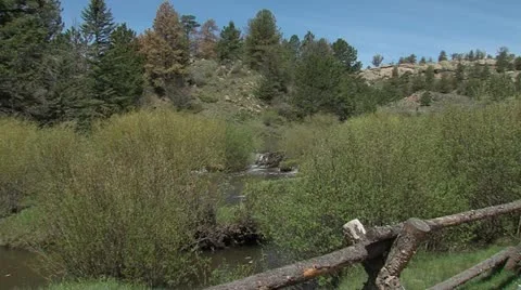 Small Beaver Dam Zoom In 動画素材 11121375