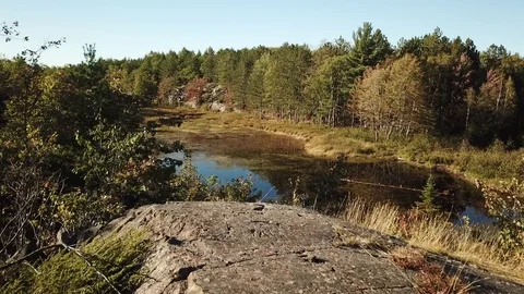 Small beaver pond Stock-Footage 86660153