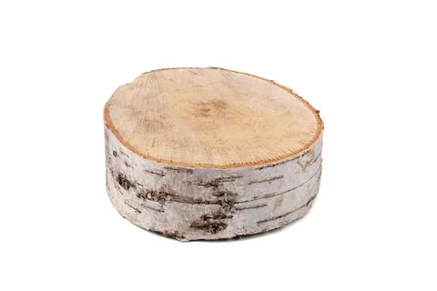 Small birch cut isolated on white. Stock Photos