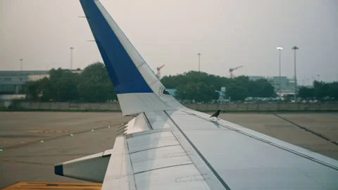 Small Bird on Aircraft Wing Before Takeoff Stock Footage 308993579