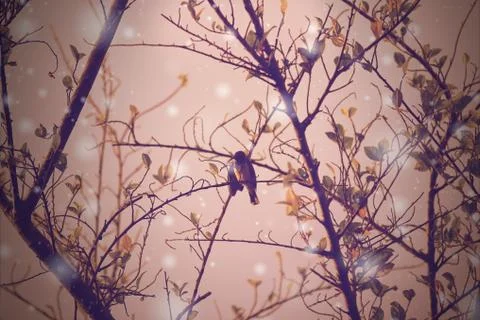 Small  Bird on big Tree in retro style Stock Photos