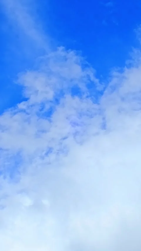 A small bird flies through a bright blue sky with white fluffy clouds. bird in Stock Footage 337949485