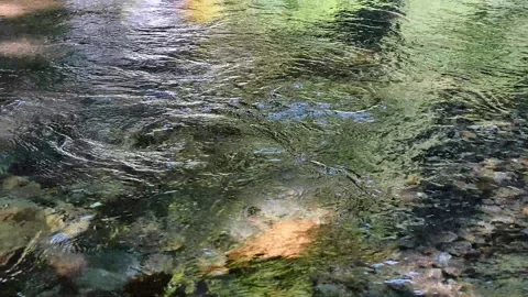 A small bird flying and touching the water surface, Kawamata Higashizawa Va.. Stock Footage 329213933
