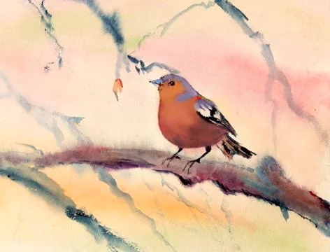 Small bird Stock Illustration