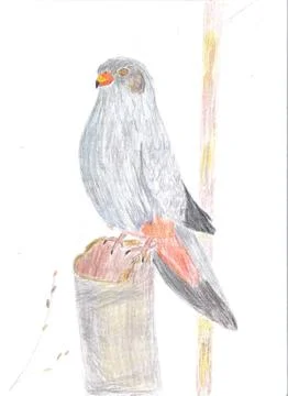 Small bird Stock Illustration