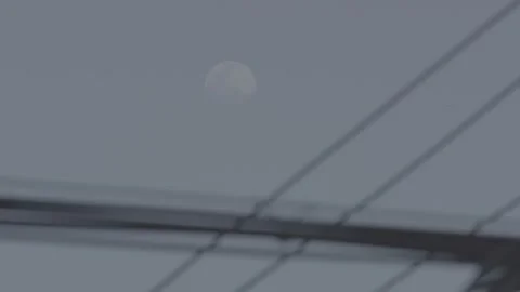 Small Birds Perched On Utility Wires in China 4K Stock Footage 346201635