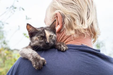 A small black kitten on a man's shoulder. Favorite pets Stock Photos