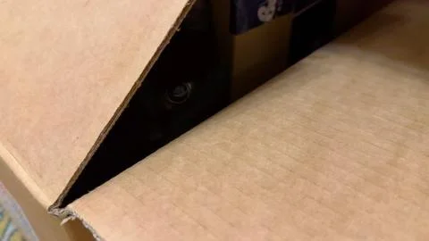 Small black kitten sits inside a cardboard box, carefully peeking over the .. Stock Photos