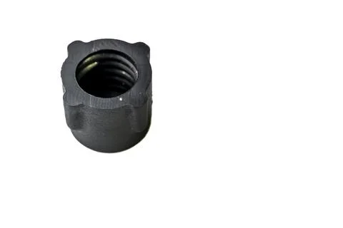 A small black nut sits on a white background Stock-Fotos