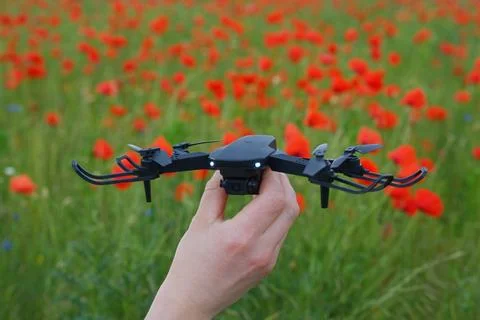 A small black quadcopter before launching over a field of red poppies Stock Photos