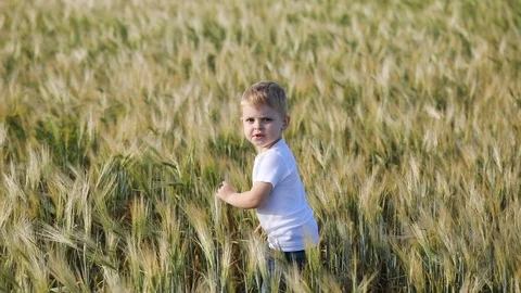 Small blond boy walks along field with mother and sister Stock Footage 112337994