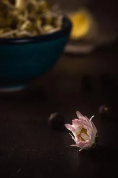 Small bloom of daisy flower in front of bowl with mung bean sprouts Stock Photos