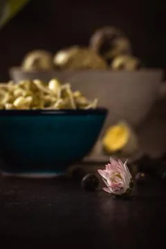 Small bloom of daisy flower in front of bowl with mung bean sprouts and quail Stock Photos