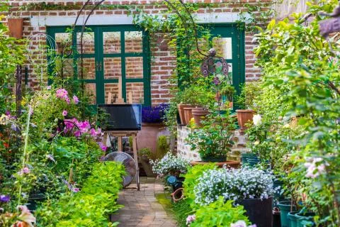 Small blooming garden Stock Photos
