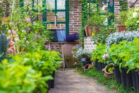 Small blooming garden Stock Photos