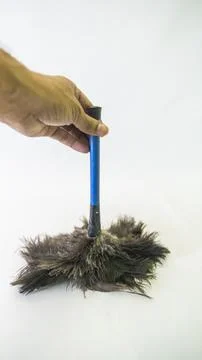 Small blue-handled duster with black feathers Stock Photos