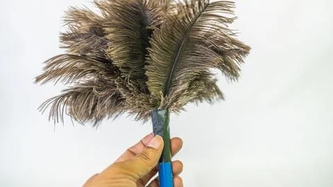 Small blue-handled duster with black feathers Foto stock