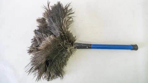 Small blue-handled duster with black feathers Foto stock