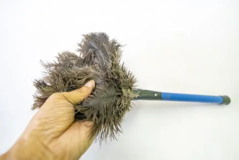 Small blue-handled duster with black feathers Foto stock