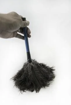 Small blue-handled duster with black feathers Stock Photos