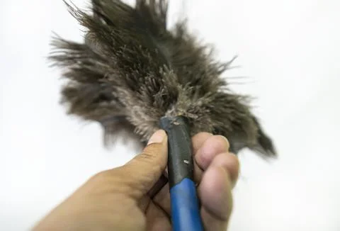 Small blue-handled duster with black feathers Foto stock