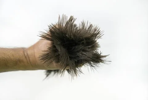 Small blue-handled duster with black feathers Stock-Fotos