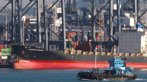 Small blue tugboat sailing past cargo container ship in Hong Kong Stock Footage 345013723