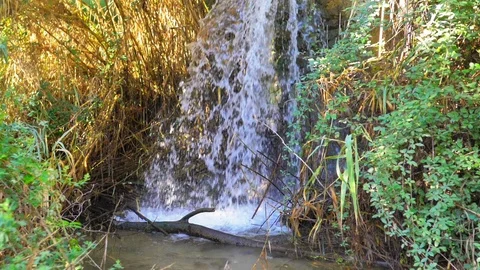 Small blue waterfall surrounded by yellow vegetation Stock Footage 124390178