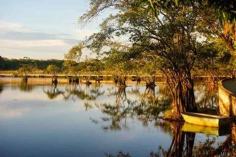 Small boat and tree reflections on lake surface, at sunset Stock Photos
