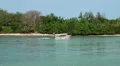 Small boat arriving at a tropic beach HD Footage