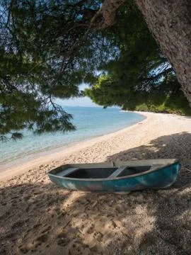 Small boat on beach under pine trees 库存照片