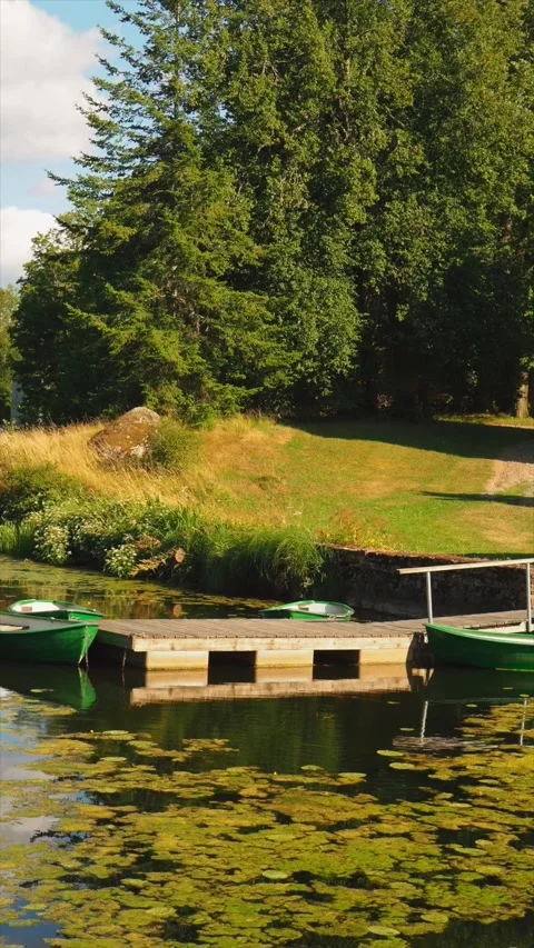 A small boat dock on a forest lake, with green boats around it and water lilies Stock Footage 248529846