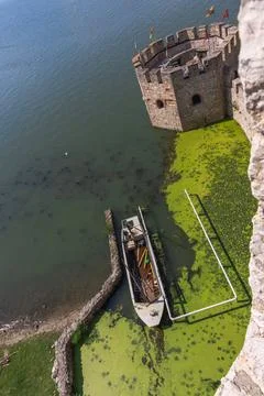 A small boat docked in algae-covered green water. Stock Photos