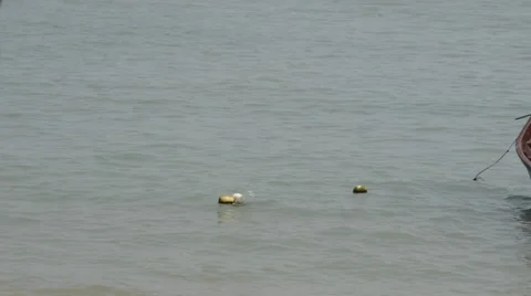 Small boat floating in the sea 库存影片 28011460